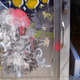 Image for article titled Touring Israeli Graffiti, From South Tel Aviv to the Syrian Border